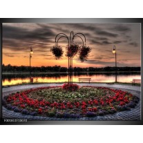 Foto canvas schilderij Bloemen | Rood, Zwart, Geel 