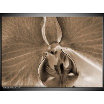 Foto canvas schilderij Orchidee | Sepia, Bruin 