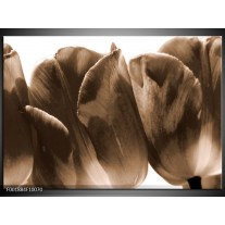 Foto canvas schilderij Tulpen | Sepia, Bruin 