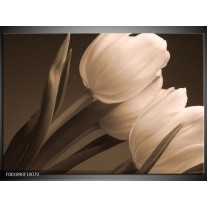 Foto canvas schilderij Tulpen | Sepia, Bruin 