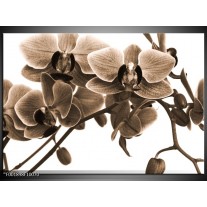 Foto canvas schilderij Orchidee | Sepia, Bruin 