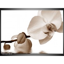 Foto canvas schilderij Orchidee | Sepia, Bruin 