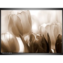 Foto canvas schilderij Tulpen | Sepia, Bruin 