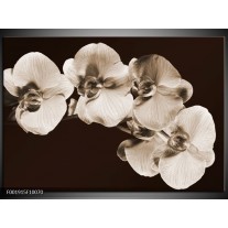 Foto canvas schilderij Orchidee | Sepia, Bruin 