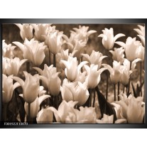 Foto canvas schilderij Tulpen | Sepia, Bruin 