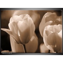 Glas schilderij Tulpen | Sepia, Bruin 