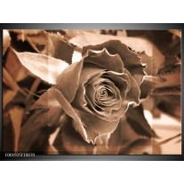 Foto canvas schilderij Roos | Sepia, Bruin 