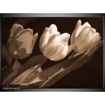 Foto canvas schilderij Tulpen | Sepia, Bruin 