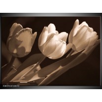 Glas schilderij Tulpen | Sepia, Bruin 