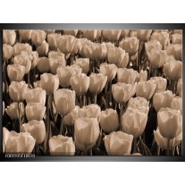 Foto canvas schilderij Tulpen | Sepia, Bruin 