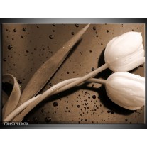 Foto canvas schilderij Tulpen | Sepia, Bruin 