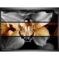 Foto canvas schilderij Orchidee | Sepia, Bruin 