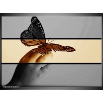 Foto canvas schilderij Vlinder | Sepia, Bruin 