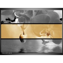 Foto canvas schilderij Orchidee | Sepia, Grijs 