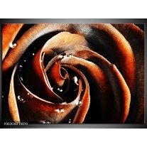 Foto canvas schilderij Roos | Bruin, Zwart, Wit 