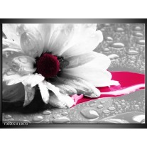 Foto canvas schilderij Bloem | Grijs, Wit, Roze 