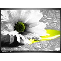 Foto canvas schilderij Bloem | Grijs, Wit, Geel 