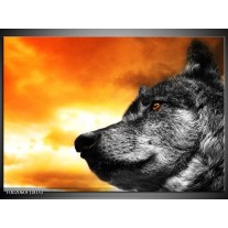 Foto canvas schilderij Wolf | Geel, Grijs, Wit 