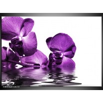 Foto canvas schilderij Orchidee | Paars, Wit 