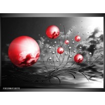 Foto canvas schilderij Ballen | Rood, Zwart, Grijs 