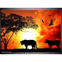 Foto canvas schilderij Natuur | Oranje, Rood, Bruin 