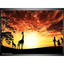 Foto canvas schilderij Natuur | Oranje, Rood, Bruin 