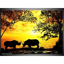 Foto canvas schilderij Natuur | Oranje, Zwart, Bruin 