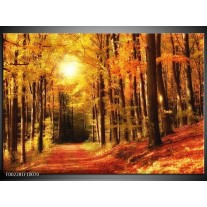 Foto canvas schilderij Herfst | Geel, Oranje, Bruin 