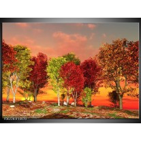 Foto canvas schilderij Herfst | Rood, Bruin, Geel 