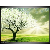 Foto canvas schilderij Boom | Groen, Wit, Zwart 