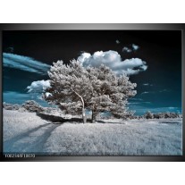 Foto canvas schilderij Boom | Grijs, Blauw, Wit 