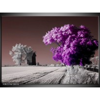 Foto canvas schilderij Natuur | Paars, Wit, Grijs 