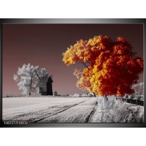 Foto canvas schilderij Natuur | Geel, Grijs, Wit 