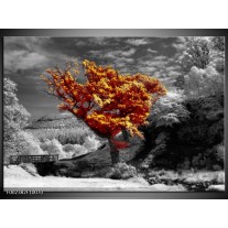 Foto canvas schilderij Boom | Oranje, Grijs, Wit 