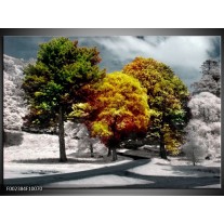 Foto canvas schilderij Boom | Groen, Geel, Wit 