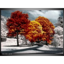 Foto canvas schilderij Natuur | Geel, Oranje, Wit 