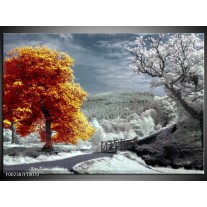 Foto canvas schilderij Natuur | Oranje, Wit, Grijs 