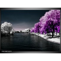 Foto canvas schilderij Natuur | Paars, Wit, Grijs 