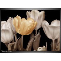 Foto canvas schilderij Tulpen | Geel, Wit, Zwart 