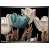 Glas schilderij Tulpen | Blauw, Wit, Zwart 