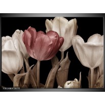 Glas schilderij Tulpen | Bruin, Wit, Zwart 