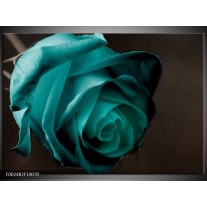 Foto canvas schilderij Roos | Blauw, Wit, Zwart 
