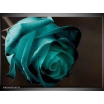 Foto canvas schilderij Roos | Blauw, Wit, Zwart 