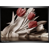 Foto canvas schilderij Tulpen | Bruin, Wit, Zwart 