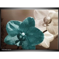 Foto canvas schilderij Orchidee | Blauw, Wit, Grijs 