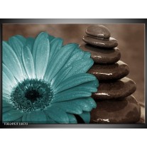 Foto canvas schilderij Bloem | Blauw, Wit, Grijs 