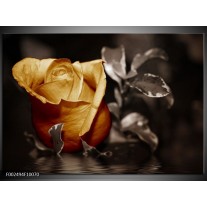 Foto canvas schilderij Roos | Geel, Wit, Grijs