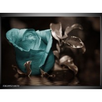 Foto canvas schilderij Roos | Blauw, Wit, Grijs 