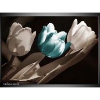 Foto canvas schilderij Tulp | Blauw, Grijs, Wit 