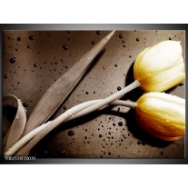 Foto canvas schilderij Tulp | Geel, Grijs, Wit 